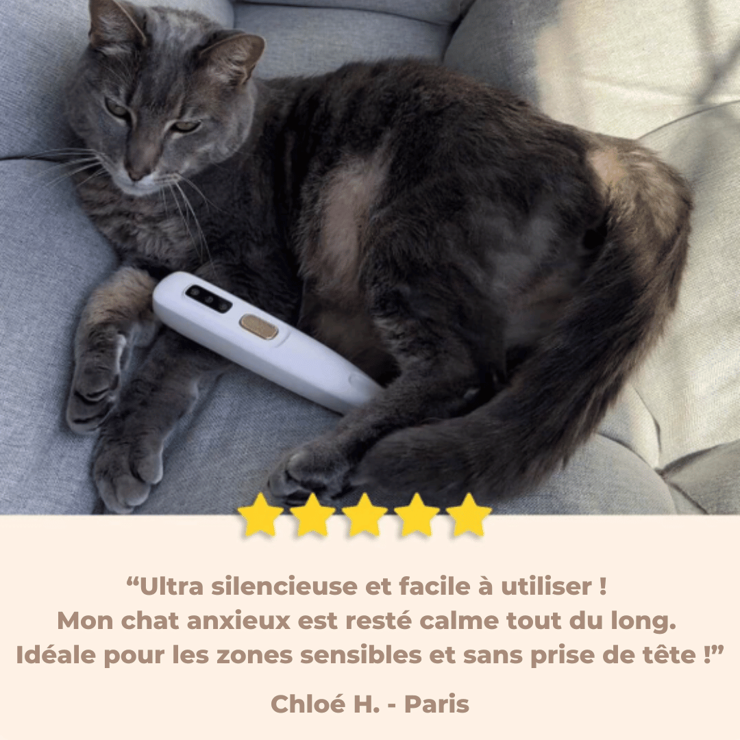 Tondeuse Silencieuse pour chat - LinouPetShop